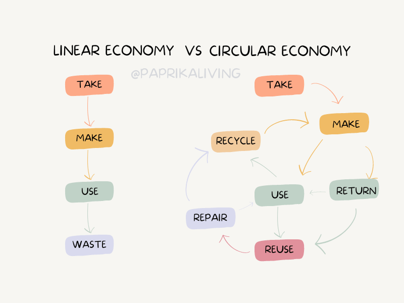 ekonomi sirkular vs linear