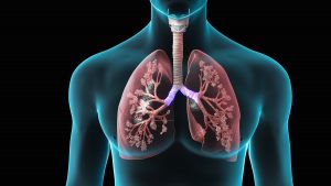 Kanker Paru-paru: 7 Gejala yang Perlu Diwaspadai
