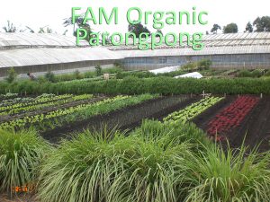 FAM Organic Parongpong