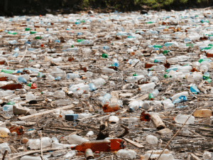 sampah botol plastik