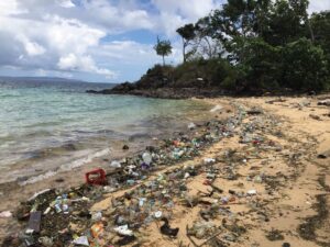 Sampah plastik mengancam kehidupan laut 