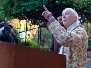 Konservasionis Jane Goodall